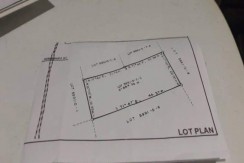 LOT FOR SALE IN HAPPY VALLEY CEBU