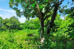 Commercial Lot in Catarman, Liloan, Cebu